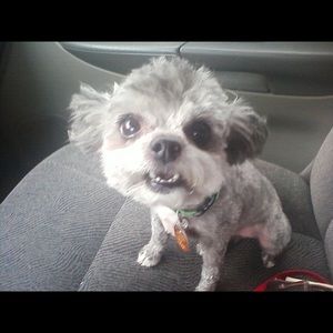 Meet your Posher, Kelli